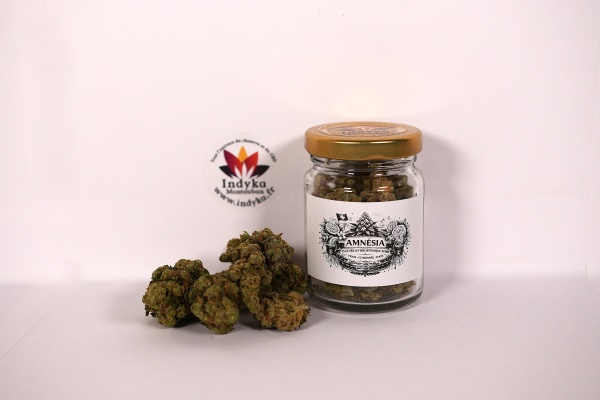 Photo produit Indyka — Amnesia — pot