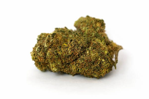 Gelato — Indyka, sélection en personne
